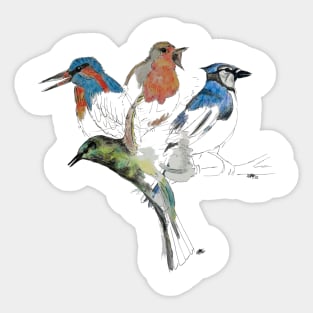 Bird lovers design Sticker